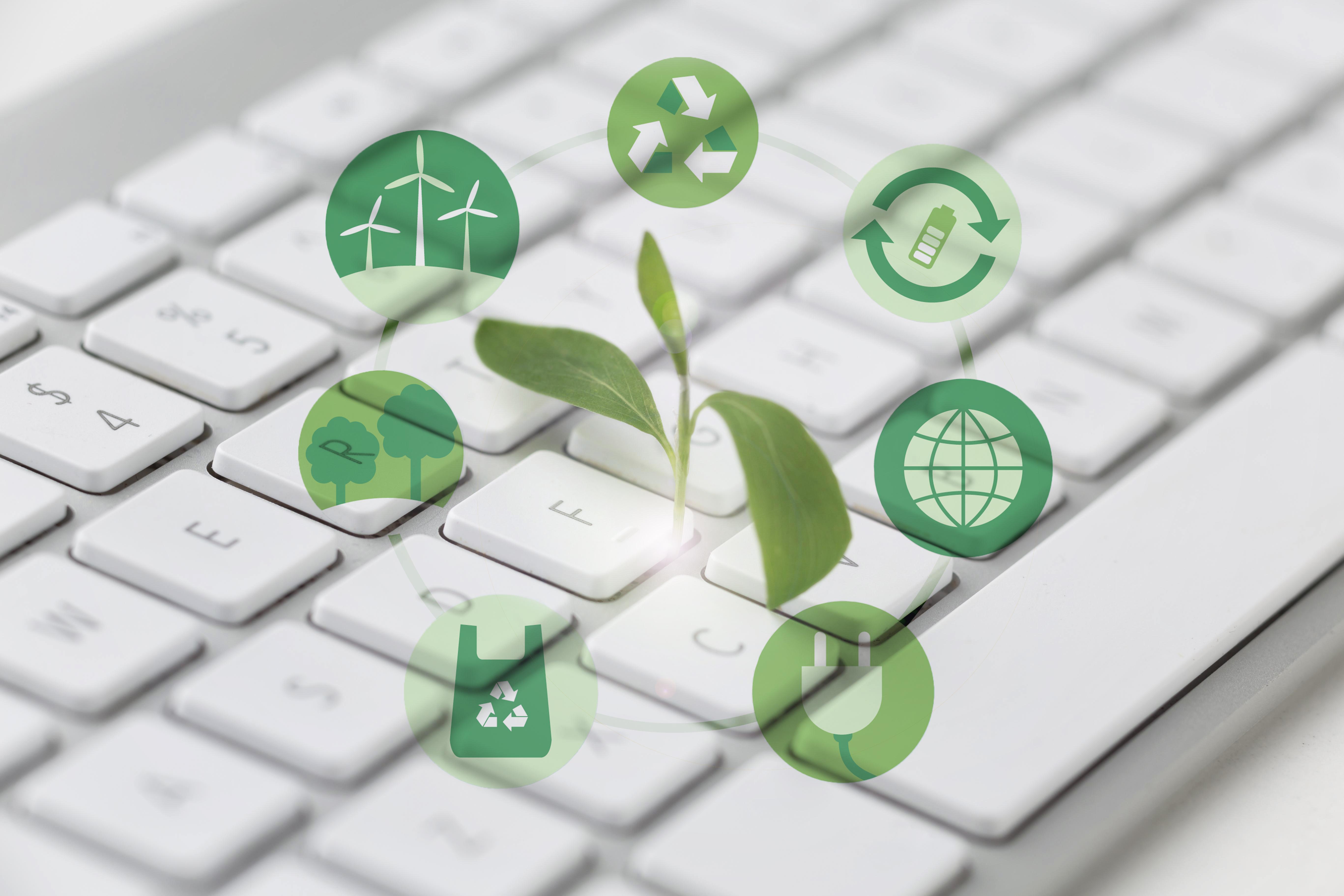 Web-based ESG Solutions